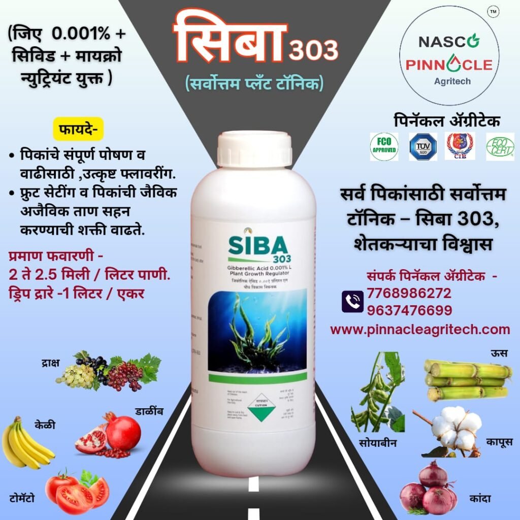 WhatsApp Image 2025-06-18 at 9.19.57 AM